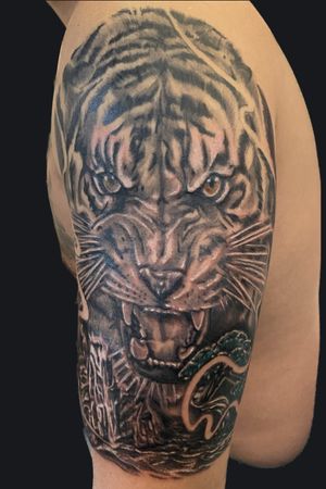Black and grey realistic tiger