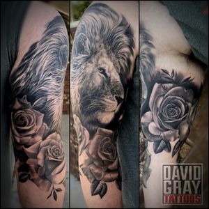 Realistic Lion tattoo with roses