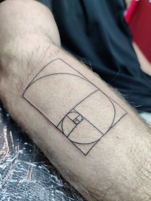 A stunning fine line tattoo inspired by the Fibonacci sequence and the golden ratio. Expertly inked by the talented artist Mary Shalla.