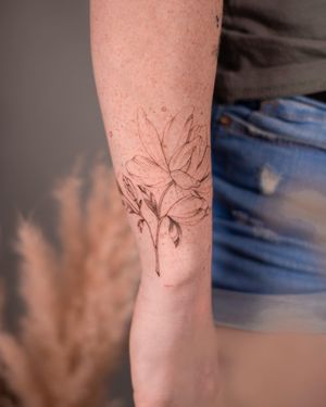 Delikatne tatuaże damskie w Studio tatuażu Wrocław
Styl tatuażu: fineline tattoo
Da Vinci's Fox Tattoo Studio
W naszym studio tatuażu każdy artysta tatuażu tworzy w swoim unikalnym stylu.