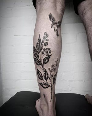 Beautiful sketch-style design by Helena Velazquez featuring a bird, flower, blackberry, and plants. A unique and intricate piece of body art.