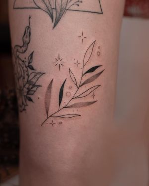 Tatuaż damski w delikatnym stylu w Da Vinci's Fox Tattoo Studio w Wrocławiu
Styl tatuażu: fineline tattoo
W naszym Studio tatuażu Wrocław każdy tatuażysta tworzy w unikalnym stylu tatuażu.