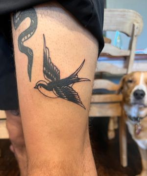 Traditional Swallow I did on my Brother!
