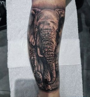 Experience the beauty of a realistic elephant tattoo by Joni Smith, expertly done in black and grey style.