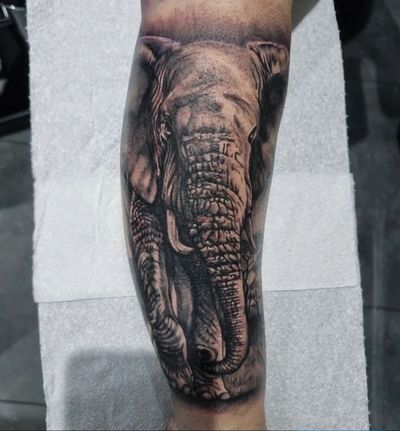 Experience the beauty of a realistic elephant tattoo by Joni Smith, expertly done in black and grey style.