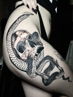 Snake skull 