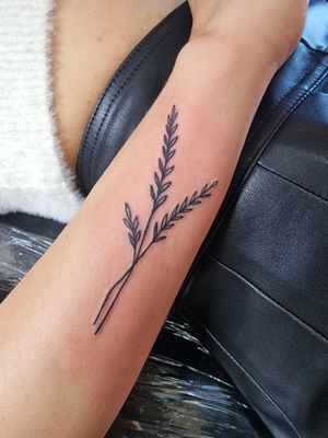 Get a stunning illustrative tattoo of a graceful branch and plant design by the talented artist Iva M.