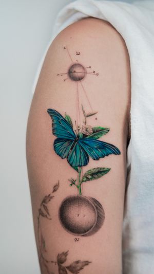 Beautiful upper arm butterfly tattoo by Jacky Yang, combining micro-realism and watercolor styles for a stunning and unique design.