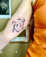 Yin-Yang Fish