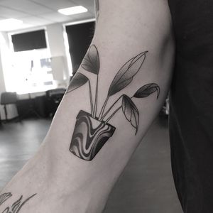 Get a unique dotwork tattoo of a beautiful vase with a thriving plant, expertly done by tattoo artist Oliver Whiting.