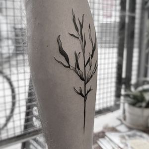 Unique dotwork style tattoo of branch and plants by Oliver Whiting, intricately detailed and visually striking.