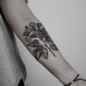 Unique dotwork tattoo featuring a detailed raspberry design created by talented artist Oliver Whiting.