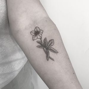 Adorn your skin with a beautiful illustrative floral tattoo done by the talented artist Oliver Whiting.