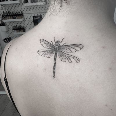 Detailed dotwork and fine line illustration of a dragonfly tattoo by Oliver Whiting. Exquisite and unique design.