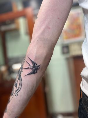 Get inked with a timeless swallow design by Clayton Jeremiah, showcasing iconic traditional tattoo style.