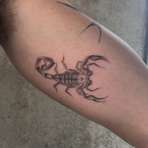 Elegantly detailed scorpion tattoo blending dotwork, fine line, and illustrative styles by talented artist Rich Sinner.