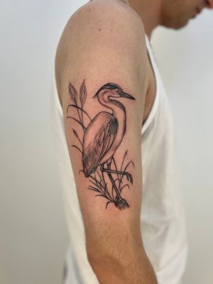 Capture the beauty of nature with this stunning illustrative tattoo of a graceful heron by the talented artist Paula.