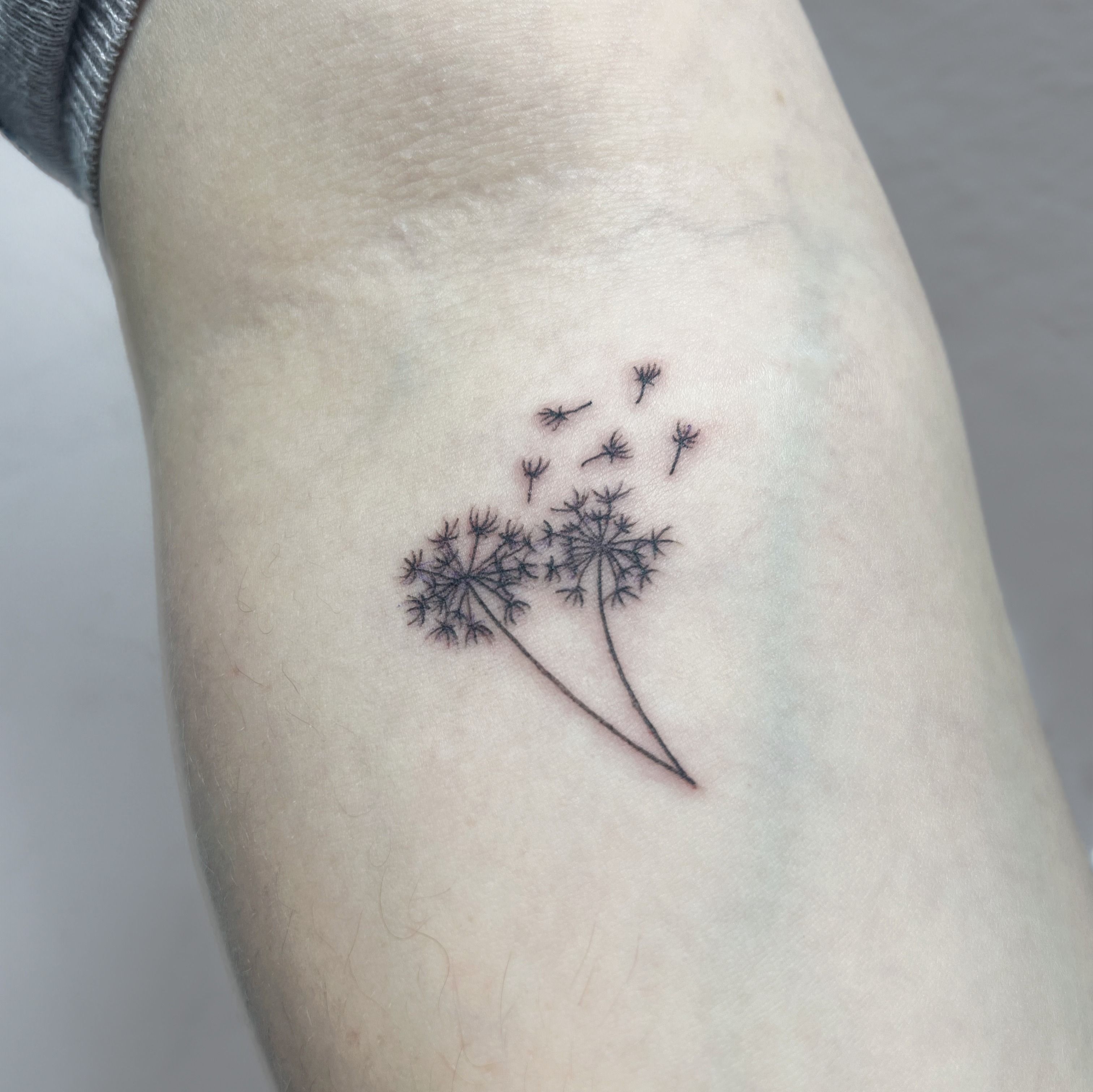 Dandelion Temporary Tattoo / Flower Tattoo / Floral Tattoo - Etsy