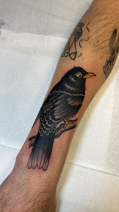 Get inspired by this stunning bird design expertly crafted by Claudia Vicente. Perfect for those who appreciate the beauty of crows and ravens.