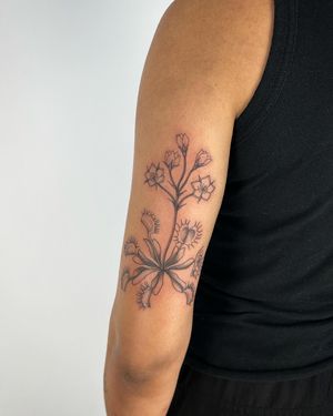 Adorn your skin with a stunning floral tattoo featuring a dionea motif, expertly done in fine line illustrative style by the talented artist Paula.