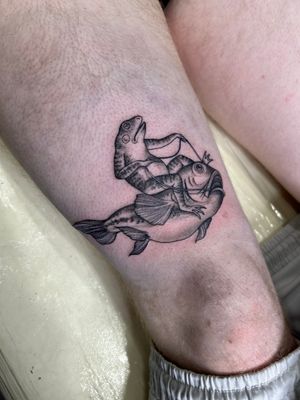 Unique dotwork style tattoo of a frog and fish, beautifully illustrated by Paula. A perfect blend of nature and artistry.