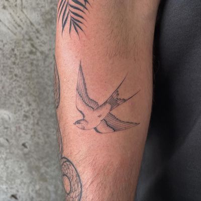Get a beautifully detailed illustrative swallow tattoo by renowned artist Rich Sinner. Expertly executed fine line work for a stunning and timeless design.