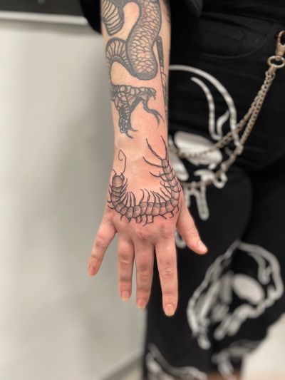 Get inked with a stunning dotwork centipede tattoo by the talented artist Paula. A unique and intricate design perfect for insect lovers.