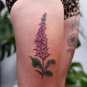 Adorn your skin with a stunning floral masterpiece featuring a vibrant digitalis flower, expertly illustrated by tattoo artist Paula.