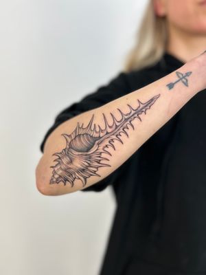 Get a unique and beautifully detailed conch shell tattoo done in illustrative style by Paula. Explore the beauty of the ocean with this stunning design.