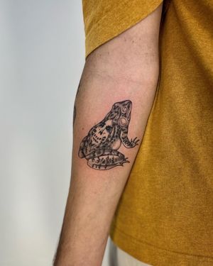 Get a unique and detailed frog tattoo with dotwork shading by the talented Paula.