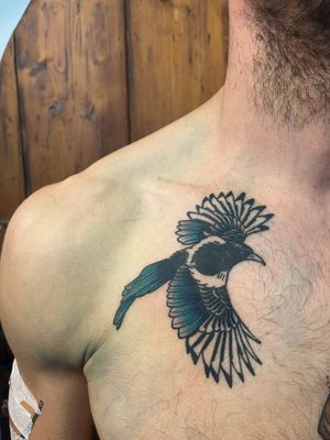 A stunning illustrative tattoo of a magpie bird, skillfully crafted by the talented artist Claudia Vicente.