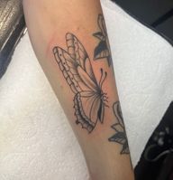 Unique dotwork style butterfly tattoo blending traditional and illustrative elements, expertly crafted by Claudia Vicente.