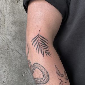 Elegant and intricate fine line tattoo featuring a detailed leaf and branch design by renowned artist Rich Sinner.