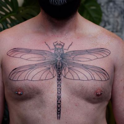 Explore the beauty of dotwork and fine line techniques in this illustrative dragonfly tattoo by expert artist Paula.
