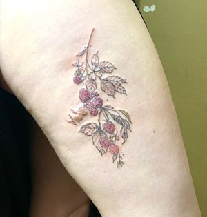 Elegant fine line and hand-poke tattoo featuring a detailed raspberry, flower, and branch design by Charlotte Pokes.