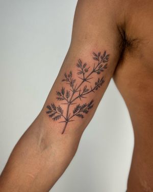 Get a mesmerizing botanical tattoo in dotwork style by the talented artist Paula. Embrace the beauty of nature in this unique illustration.