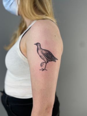 Adorn your skin with this stunning illustrative design of a quail, expertly crafted in dotwork style by the talented artist Paula.