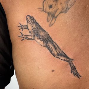 Check out this stunning black and gray frog tattoo created by talented artist Paula. Perfect for nature lovers!