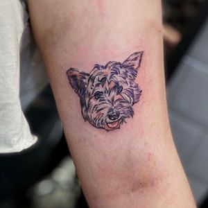 Get a cute illustrative tattoo of your beloved pet by the talented artist Holly Valley. Show your love for your furry friend with this unique design!