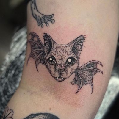 Get a beautifully detailed illustrative tattoo of a bat and cat in a fine line etching style by talented artist Holly Valley.