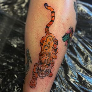 Beautiful and fierce tiger tattoo by Holly Valley, combining traditional Japanese and neo-traditional styles.