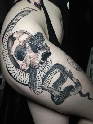 Snake skull