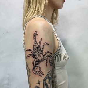 Unique tattoo design featuring a scorpion and bird motif, created by talented artist Adam McDade.