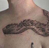 Snake's Head