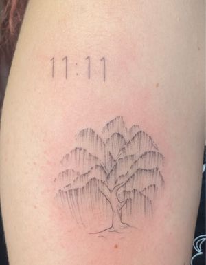 11:11 & willow tree