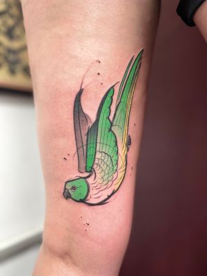 Get a stunning illustrative bird tattoo by Hannah Keuls with a unique sketch style.