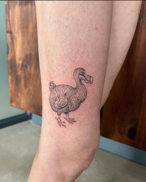 Illustrative tattoo of a dodo bird done by Ion Caraman, featuring fine line details.