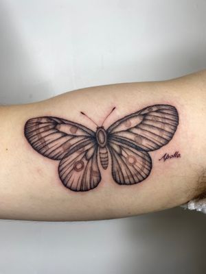 Beautiful black and gray illustrative butterfly tattoo by Charlie Macarthur, showcasing elegance and intricate details.