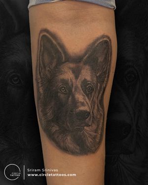 Custom Dog Portrait Tattoo made by Sriram Srinivas at Circle Tattoo Vizag