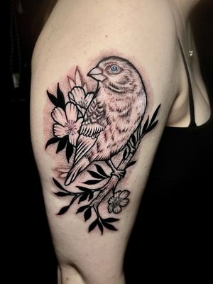 Unique dotwork design by Ben Twentyman featuring a bird perched on a branch. Detailed and illustrative style.